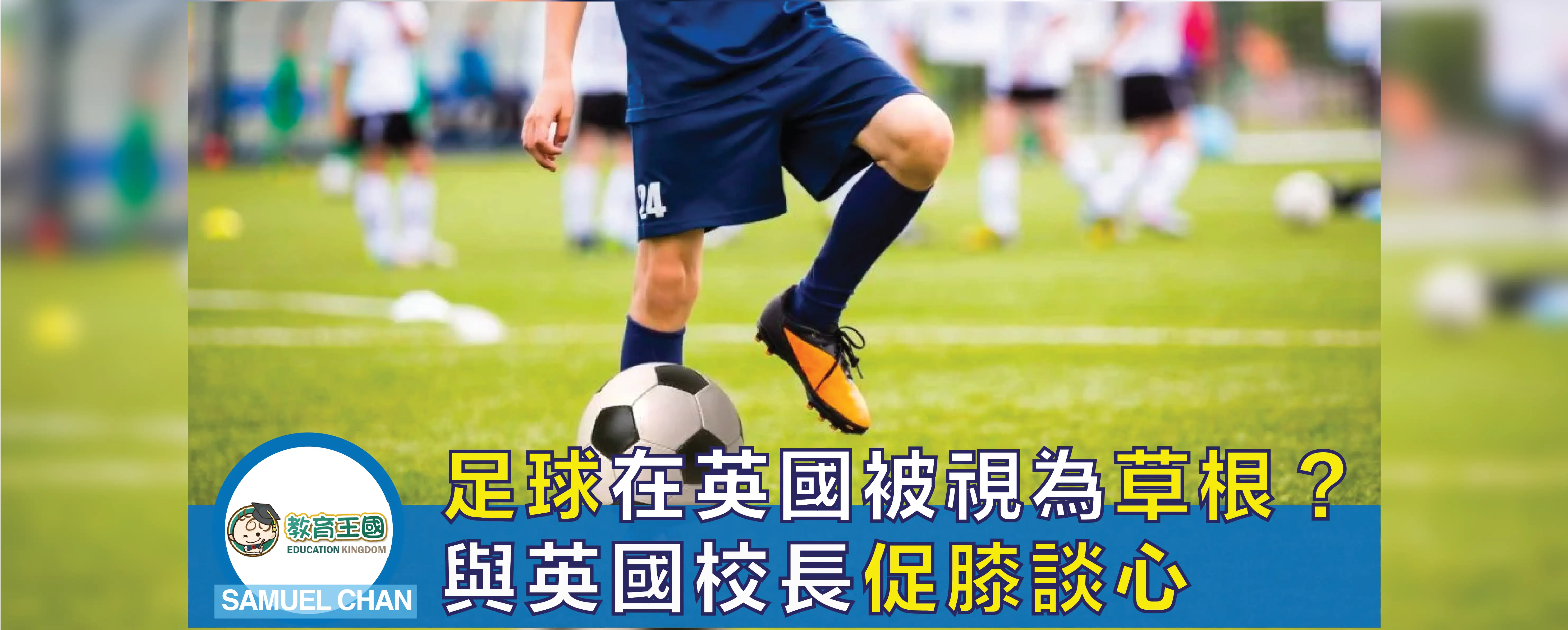 article-no838