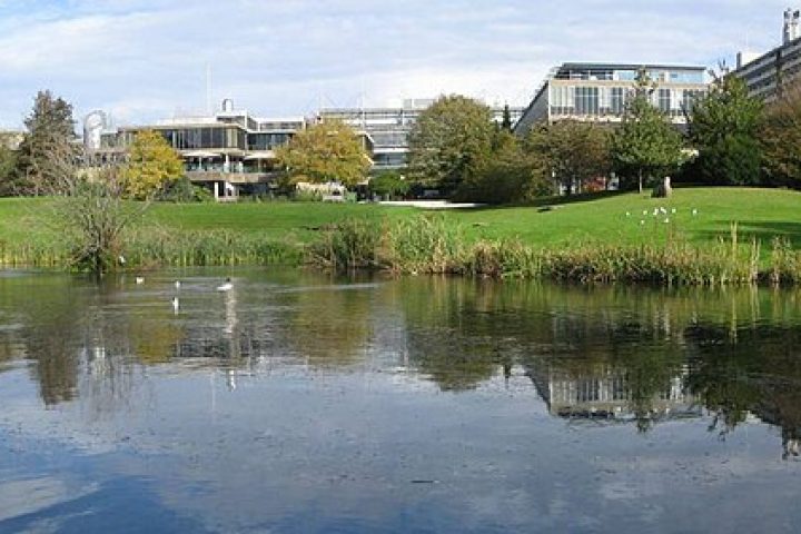 university of bath