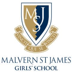 MSJ stacked logo 2016_blue