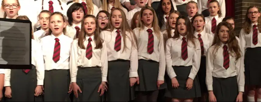 sch The Royal School Dungannon banner 0