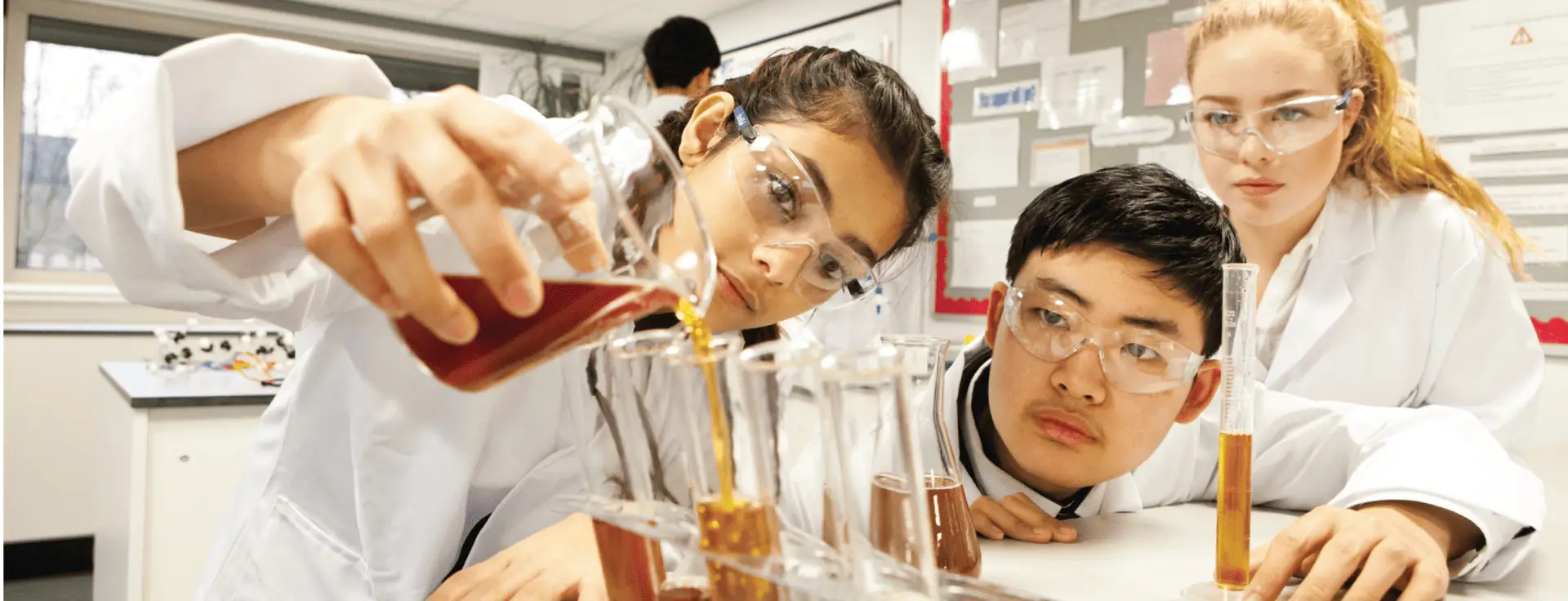 sch TheNationalMathematicsandScienceCollege banner 0