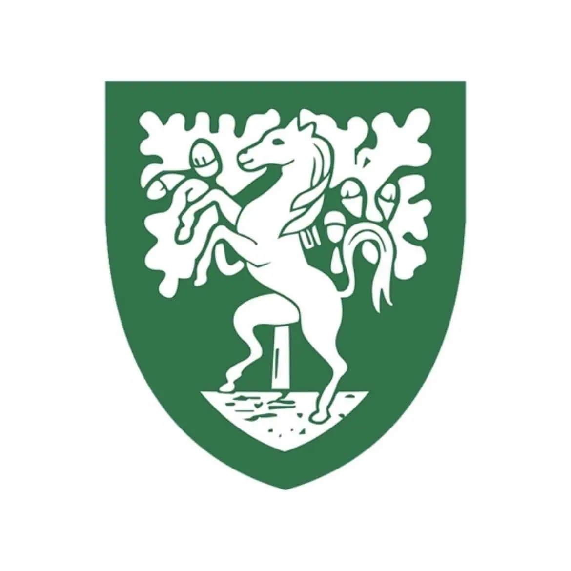 stover school logo